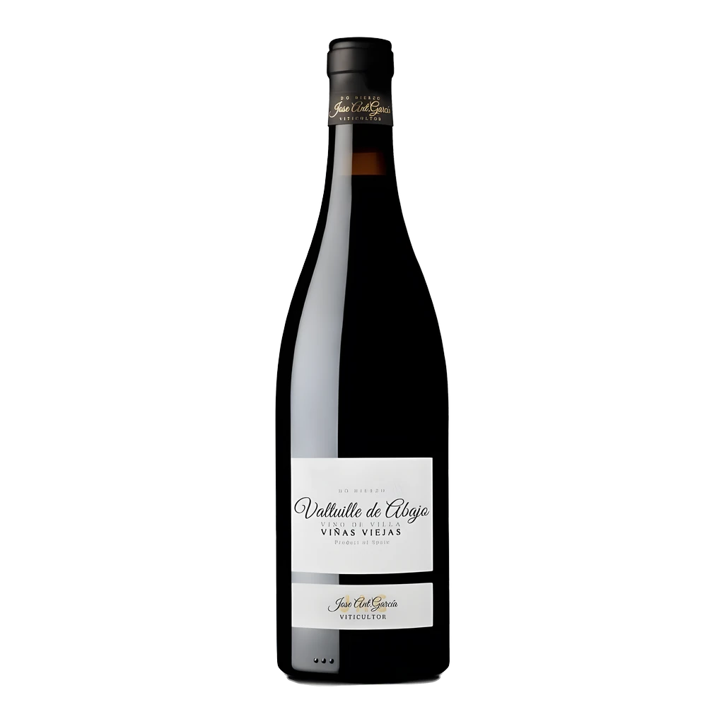 Wino Valtuille de Abajo 2022 – mencía, czerwone