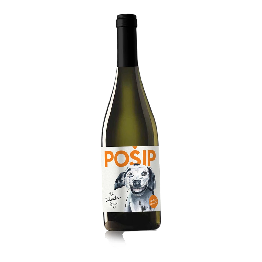 The Dalmatian Dog Posip